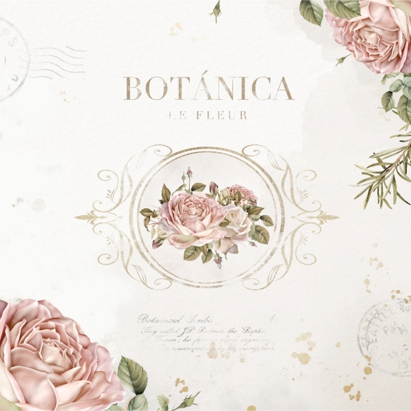 Lamina Decoupage Vintage Botanico (433) 32 x 32 cm