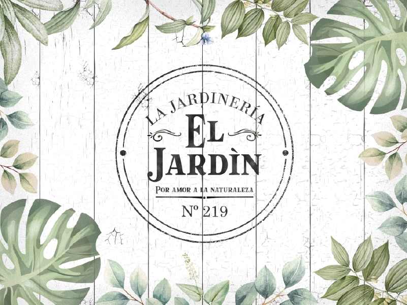 Lamina Decoupage Grande (5005) 45.5 x 63.5 cm