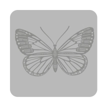 Sello (2200) 10 x 10 cm