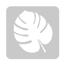 Stencil Botanica 30 x 30 cm