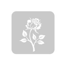 Stencil Rosa 15 x 15 cm