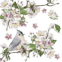 Servilleta Decoupage 7019